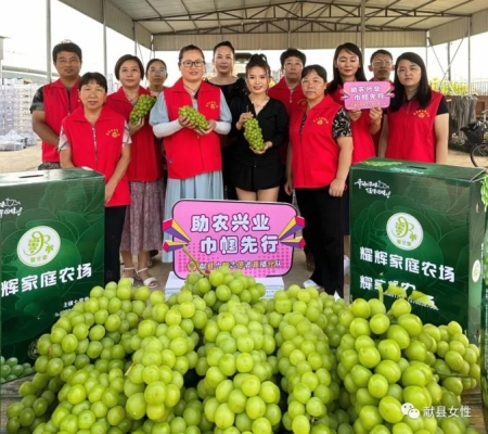 赤峰寵物店直播基地電話號碼-第1張圖片