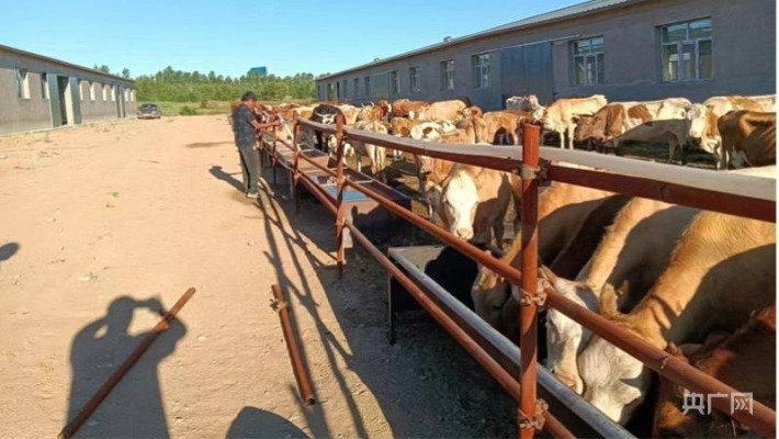 赤峰肉牛深加工廠電話號碼-第1張圖片