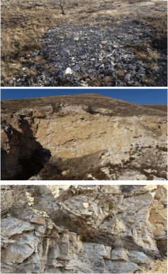 赤峰松山區(qū)鑫泰賓館電話多少-第1張圖片