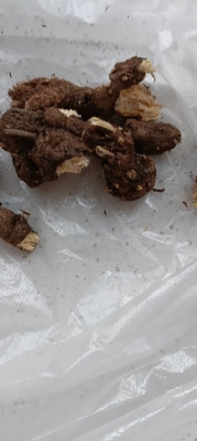 赤峰梅花糕批發(fā)電話號碼查詢-第1張圖片