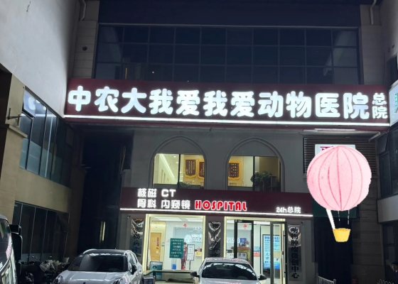 赤峰紅山區(qū)寵物店電話號碼-第1張圖片