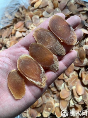 赤峰人參片批發(fā)商家電話(huà)號(hào)碼-第1張圖片