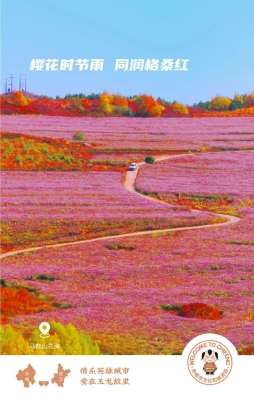 赤峰櫻花節(jié)在哪里-第1張圖片