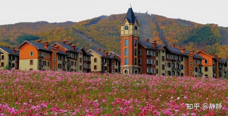 赤峰市韭菜樓訂餐電話地址查詢-第1張圖片