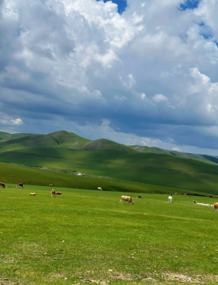 赤峰天順副食店電話多少號(hào)-第1張圖片