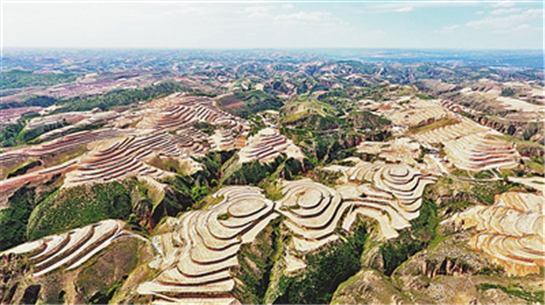 赤峰市修梯田電話號碼是多少-第1張圖片