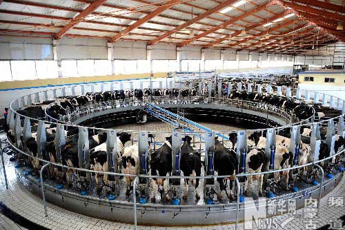 赤峰澳亞牧場六廠電話號碼-第1張圖片