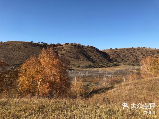 赤峰杰慶理發(fā)店電話地址查詢-第1張圖片