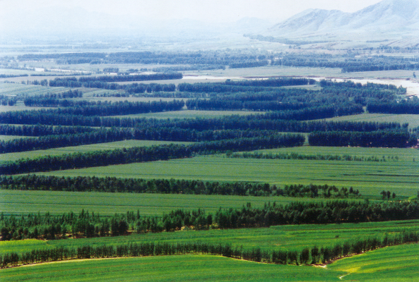 赤峰林業(yè)咨詢電話號(hào)碼是多少-第1張圖片