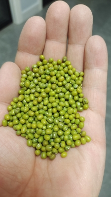 赤峰綠豆旗艦店電話是多少號(hào)-第1張圖片