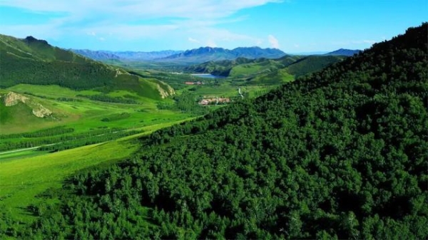 赤峰林西紋身店團(tuán)購(gòu)電話號(hào)碼-第1張圖片