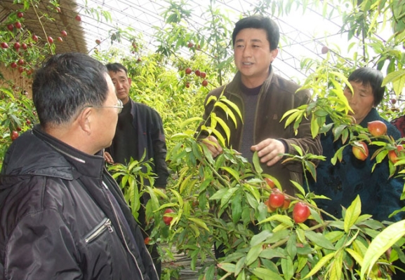 赤峰橋頭鎮(zhèn)疫情防控電話號(hào)碼-第1張圖片