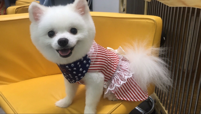 赤峰萌寵基地電話地址查詢號碼-第1張圖片