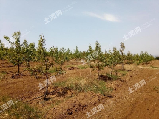 赤峰發(fā)電廠寧城二廠電話是多少-第1張圖片