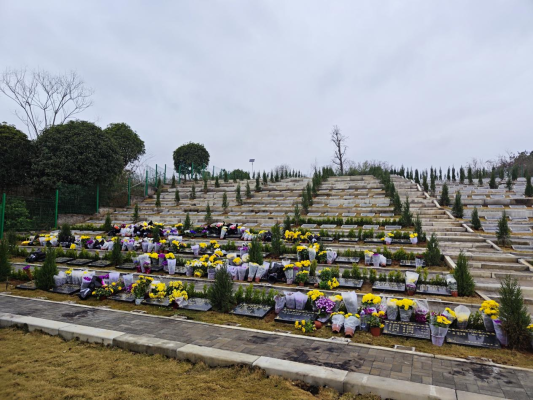 赤峰賓怡商貿(mào)公司地址電話號(hào)碼-第1張圖片