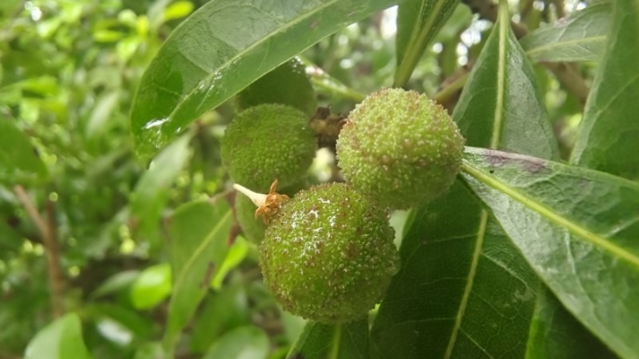 玉潤(rùn)水果店赤峰店電話號(hào)碼-第1張圖片