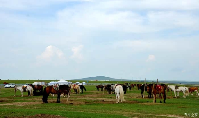 赤峰伊森美發(fā)店地址電話(huà)號(hào)碼-第1張圖片