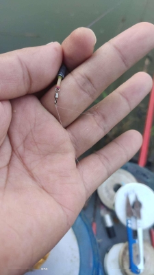 赤峰擺地攤賣魚電話號碼是多少-第1張圖片