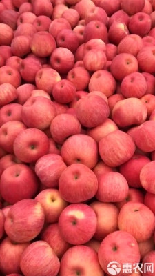 赤峰紅富餃子館電話地址查詢-第1張圖片