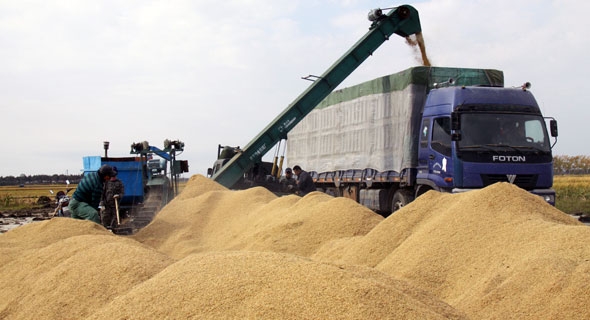 赤峰林東糧食收購站電話號碼-第1張圖片