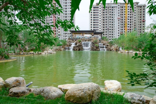 赤峰找房鵬哥電話號(hào)碼多少-第1張圖片