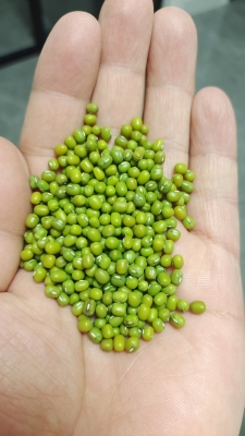 赤峰綠豆產(chǎn)業(yè)園電話號(hào)碼查詢-第1張圖片