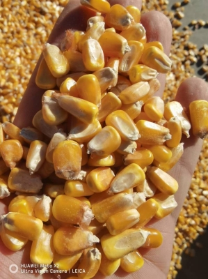 赤峰阿旗二手魚缸電話號(hào)碼-第1張圖片