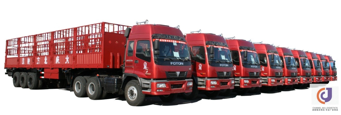 棗強(qiáng)物流電話號碼-第1張圖片