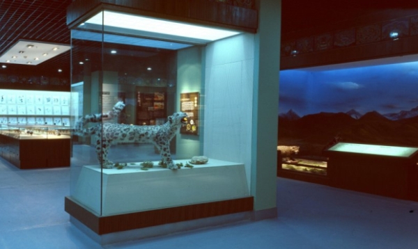 赤峰市藏藥館聯(lián)系電話號碼-第1張圖片