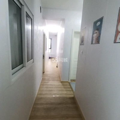 寵物店赤峰橋北店電話號(hào)碼-第1張圖片