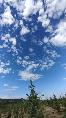 赤峰愛悅藍(lán)天元寶店電話號碼-第1張圖片