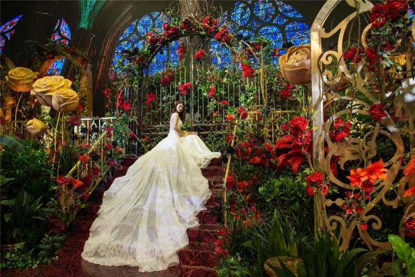 伊諾婚慶赤峰店電話多少號-第1張圖片