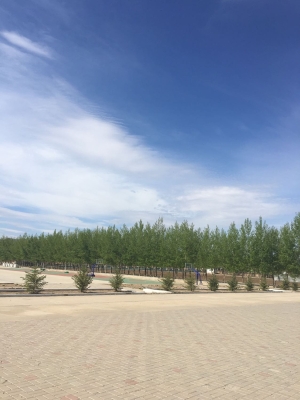 赤峰市林西棉白糖廠電話號(hào)碼-第1張圖片