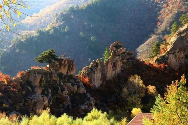 寧城到赤峰的車電話號(hào)碼是多少-第1張圖片