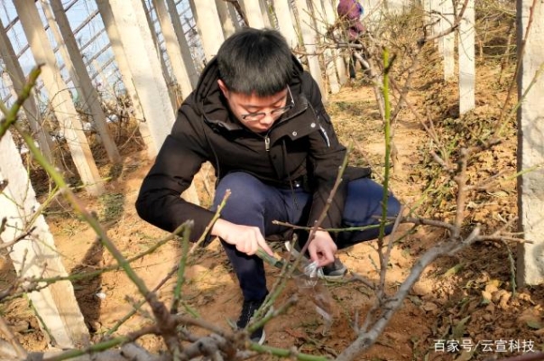 赤峰市尋訪組電話是多少號(hào)-第1張圖片