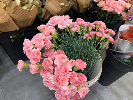 赤峰母親節(jié)蛋糕店電話號碼-第1張圖片