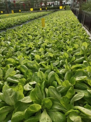 赤峰市農(nóng)博園的電話號碼-第1張圖片