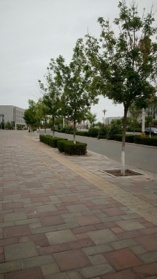 內(nèi)蒙古赤峰醫(yī)保查詢電話號碼-第1張圖片