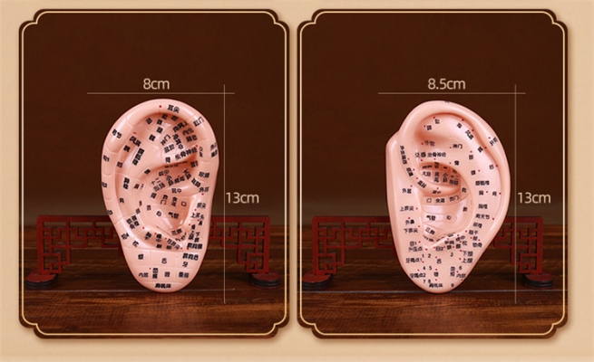 赤峰五門市針灸店電話號碼-第1張圖片