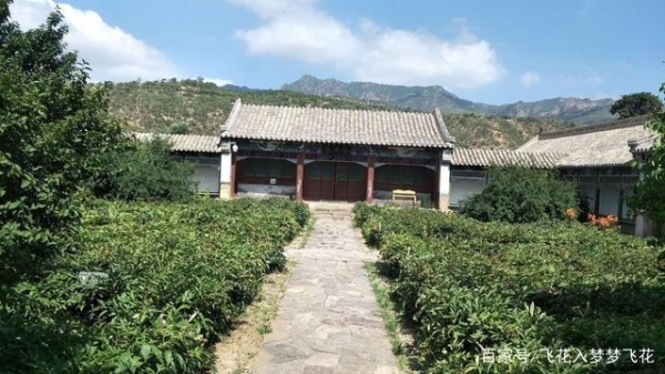 蒙古赤峰愛家超市電話號碼查詢-第1張圖片