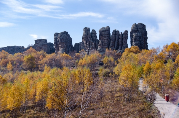 赤峰石林寵物醫(yī)院地址電話號(hào)碼-第1張圖片