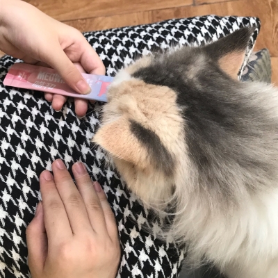 赤峰紅山花卉寵物店電話號碼-第1張圖片