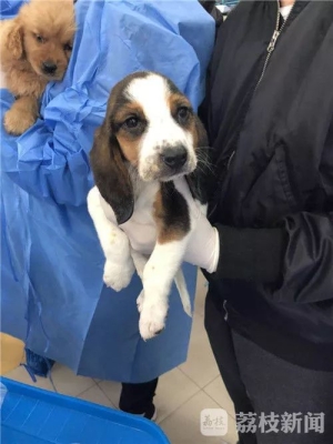 赤峰異類寵物店電話多少號(hào)-第1張圖片