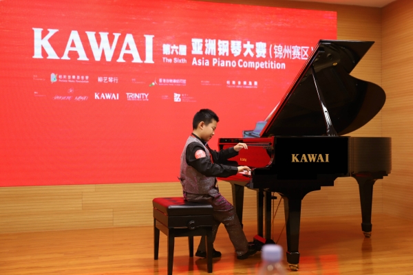 赤峰樂爾樂器專賣店電話號碼-第1張圖片