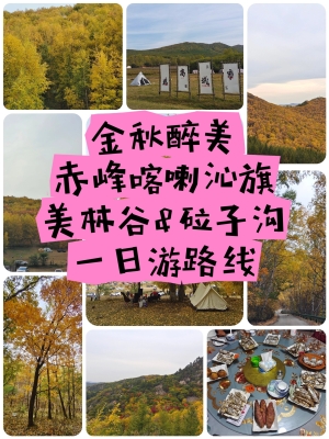 赤峰跑石家莊私家車(chē)電話(huà)多少-第1張圖片