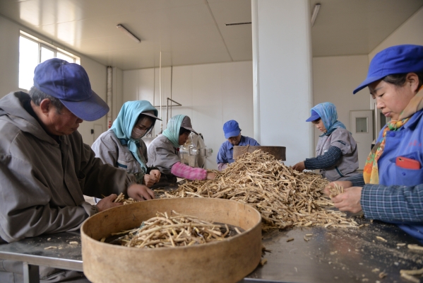 赤峰中藥材市場地址電話號碼-第1張圖片