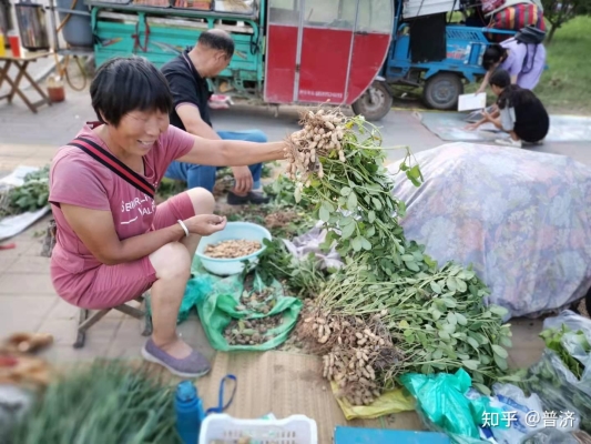 赤峰市菜農(nóng)買菜電話號碼查詢-第1張圖片