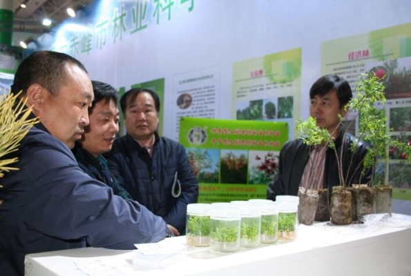 赤峰無人機監(jiān)管部門電話號碼-第1張圖片