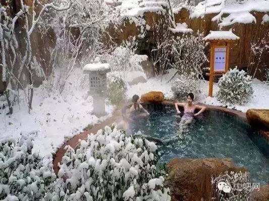 赤峰新城水匯游泳館電話號(hào)碼-第1張圖片