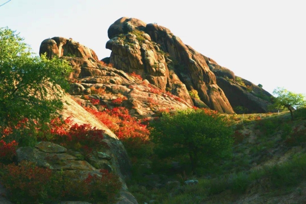 赤峰海達廣場玩具店電話號碼-第1張圖片